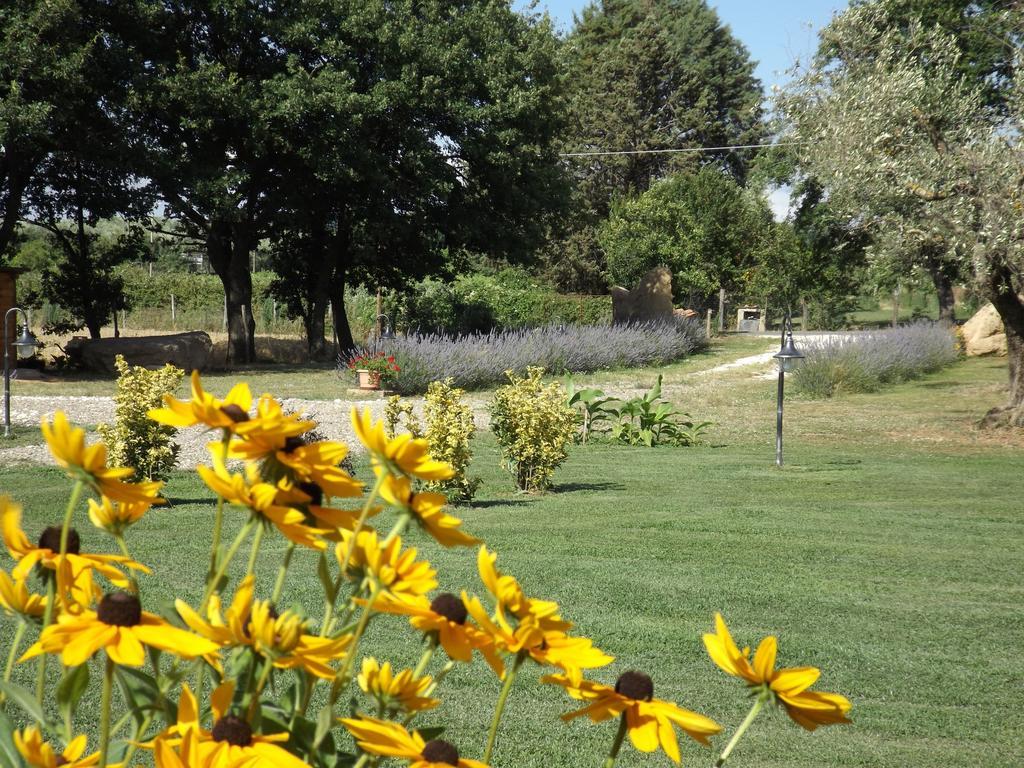 Agriturismo San Giacomo 피틸리아노 객실 사진
