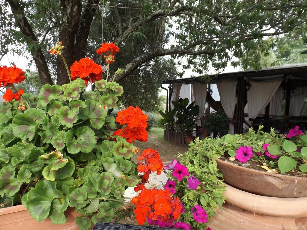 Agriturismo San Giacomo 피틸리아노 객실 사진